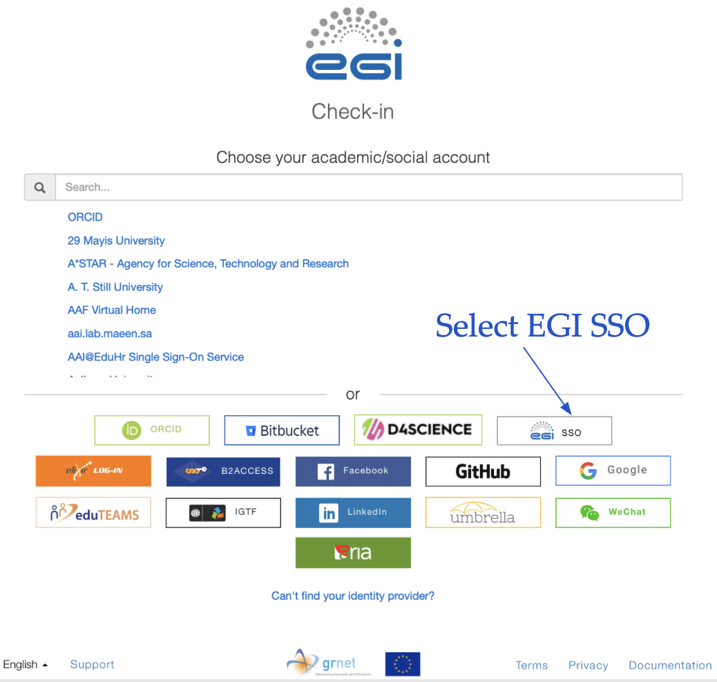 select EGI SSO