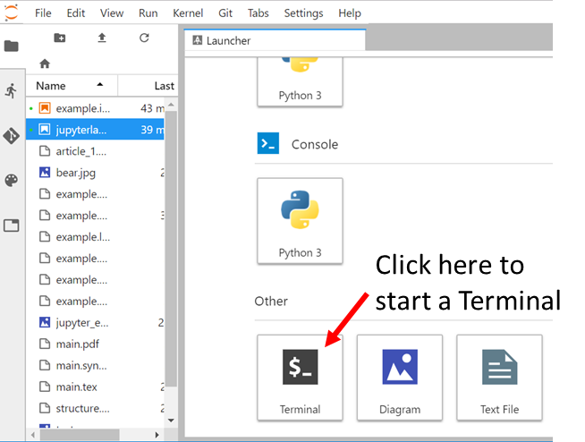 JupyterLab Terminal